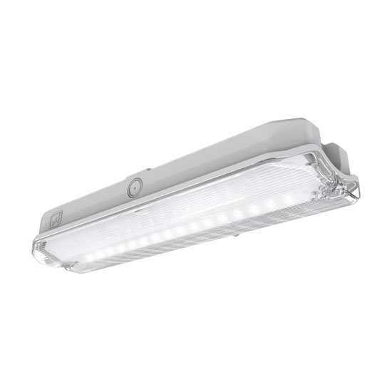 Ansell Guardian Polycarbonate Bulkhead 3W LED with Self-Adhesive Legend