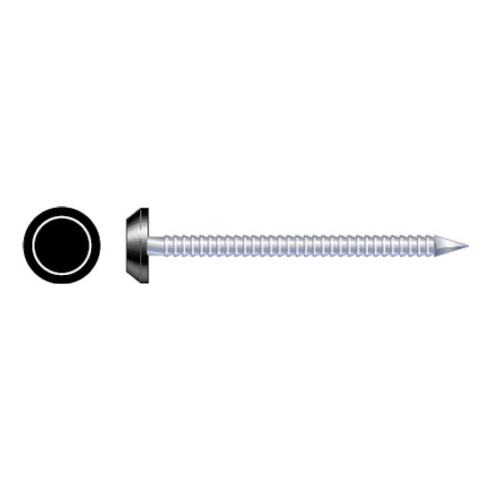 Black Plastic Headed Polytop Stainless Steel Nails - Box of 100