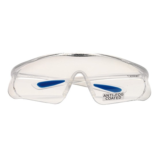 Draper 02931 Clear Anti-Mist Glasses