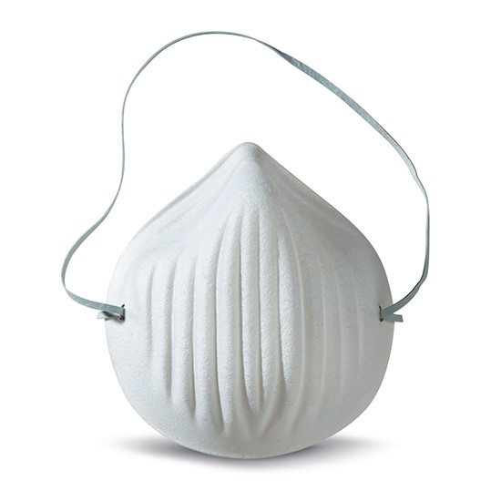 Moldex 1100 Nuisance Face Mask