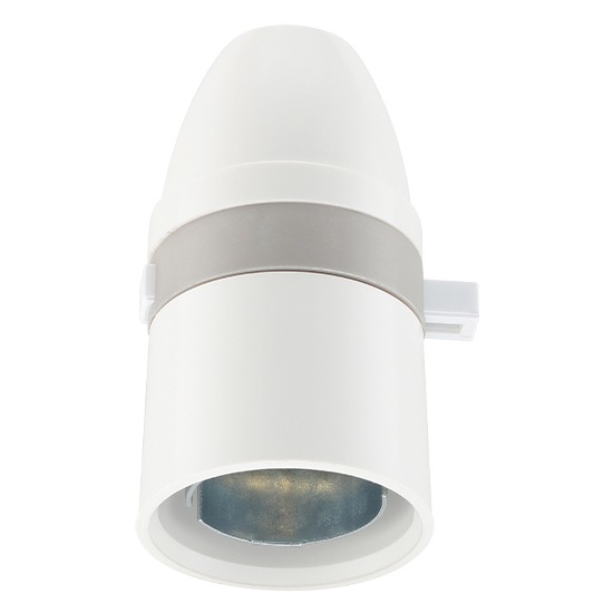 BG 252 Switched Lamp Holder