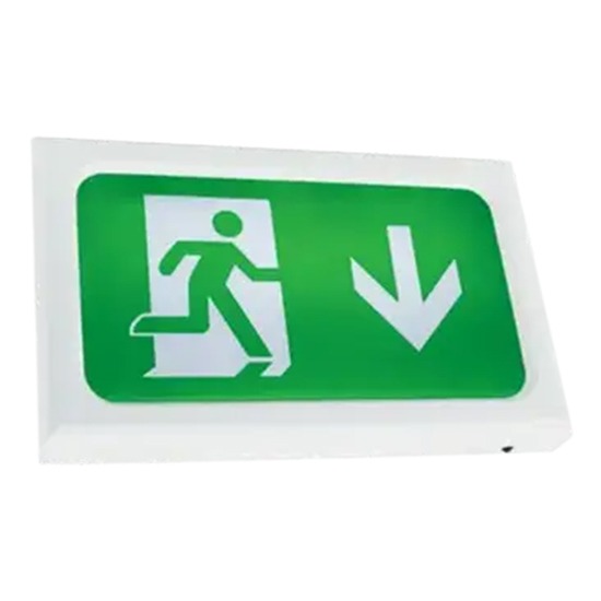 Ansell AENC/2/W 2.5W Lithium White Encore Exit Box