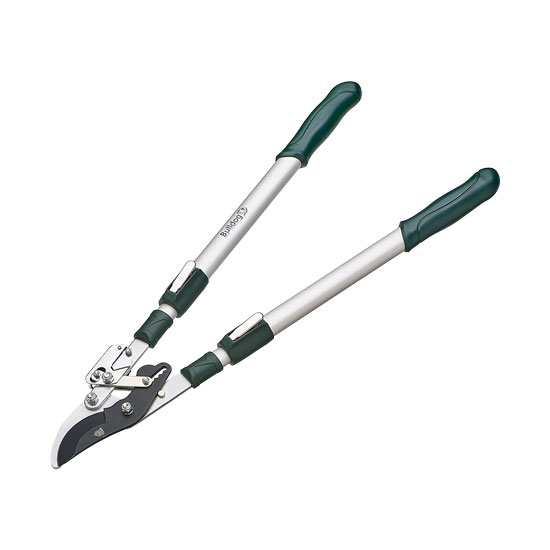 Bulldog BD3110TA Ratchet Lopper