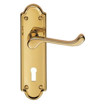 Carlisle DL17 Ashtead Door Handle - Polished Brass