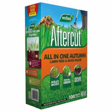 Westland Aftercut Autumn - All in one Box 80m²