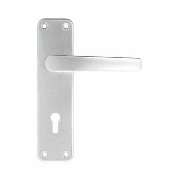 Hoppe Satin Anodised Aluminium Dubayy Door Handle