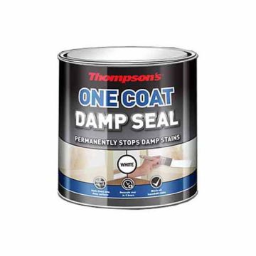 Thompson's One Coat Damp Seal