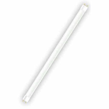 Eterna T4 Cool White Fluorescent Tube