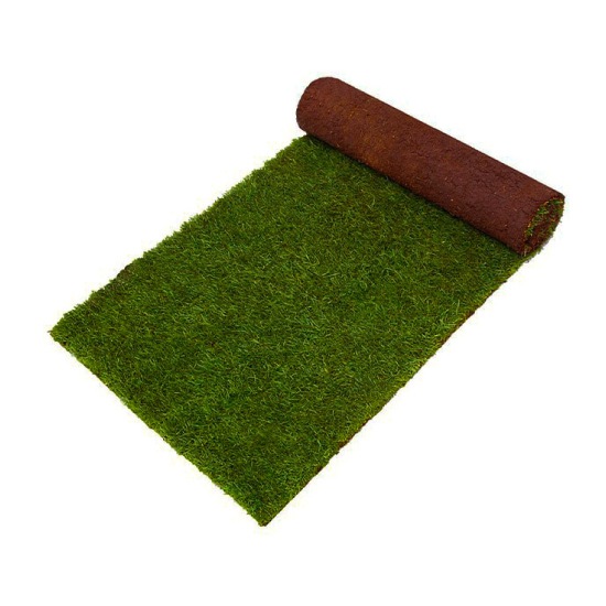 Grade 1 Lawn Turf - Per M²