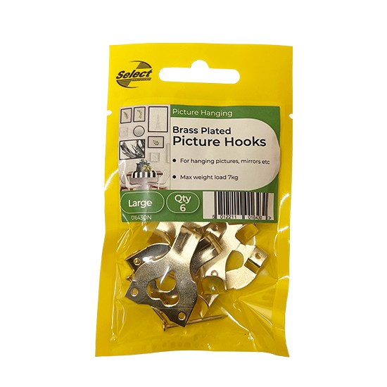 Select Electro Brass Double Pin Picture Hook With Pins