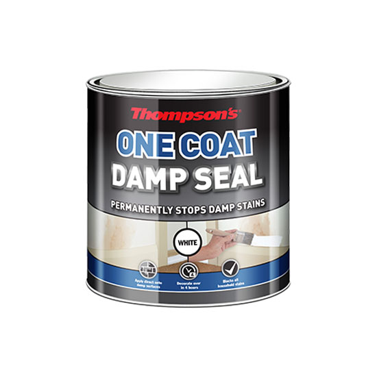 Thompson's One Coat Damp Seal