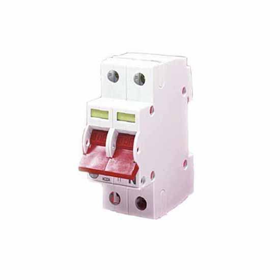 Wylex WS102 100A Main Switch Double Pole