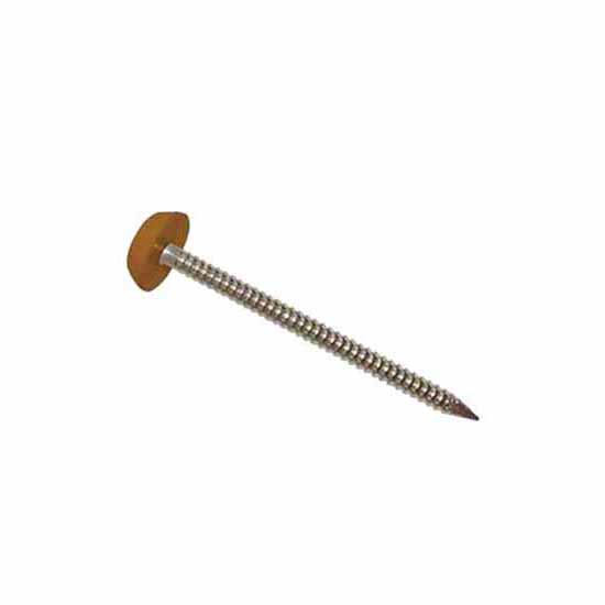 Oak Polytop Pins - Box of 200
