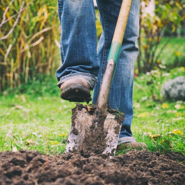 Start Your Landscaping Project