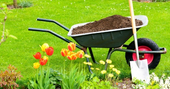 Grade One Top Soil