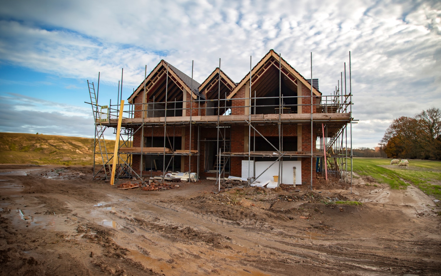 Phil Syms - High-End Dwelling with Intricately Constructed Timber Roof Phil Syms - High-End Dwelling with Intricately Constructed Timber Roof