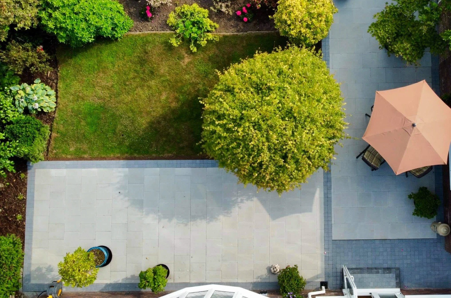 Consider Different Types of Plants & Their Maintenance Consider Different Types of Plants & Their Maintenance