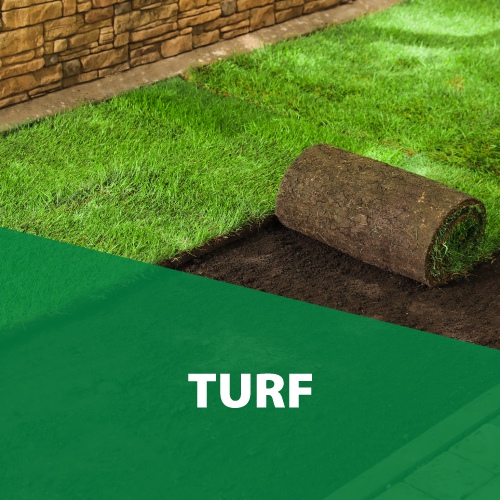 Turf Turf