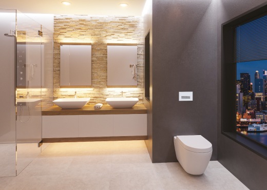Wall Mounted Toilet With Dual Basins